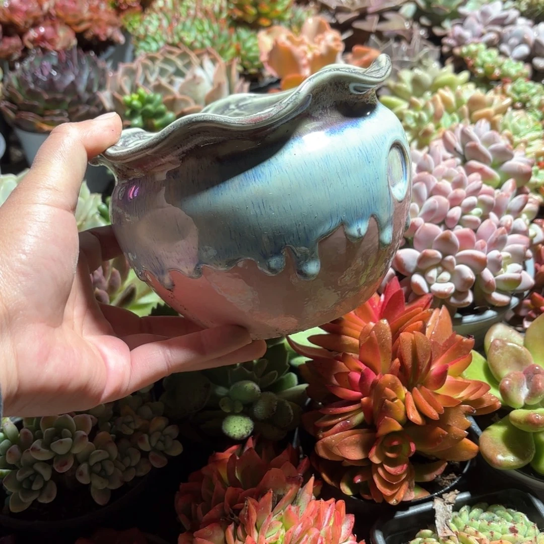 景德镇多肉花边大肚圆盆特价