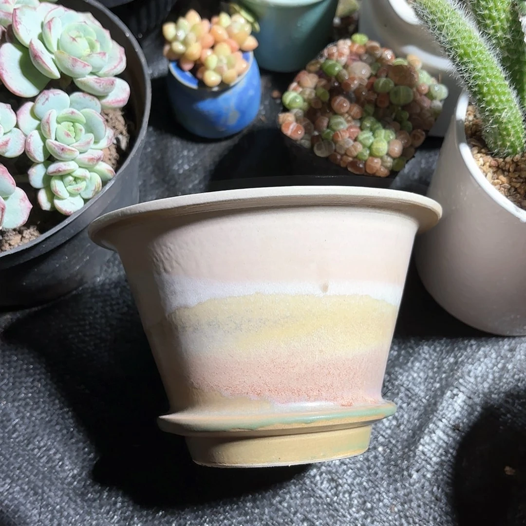 斗笠花盆颜色随机1个大号