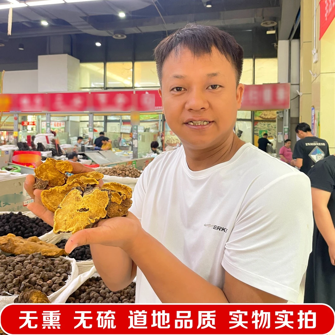 金边桑黄 道地产区西藏 无熏无硫 可搭配枸杞滋补