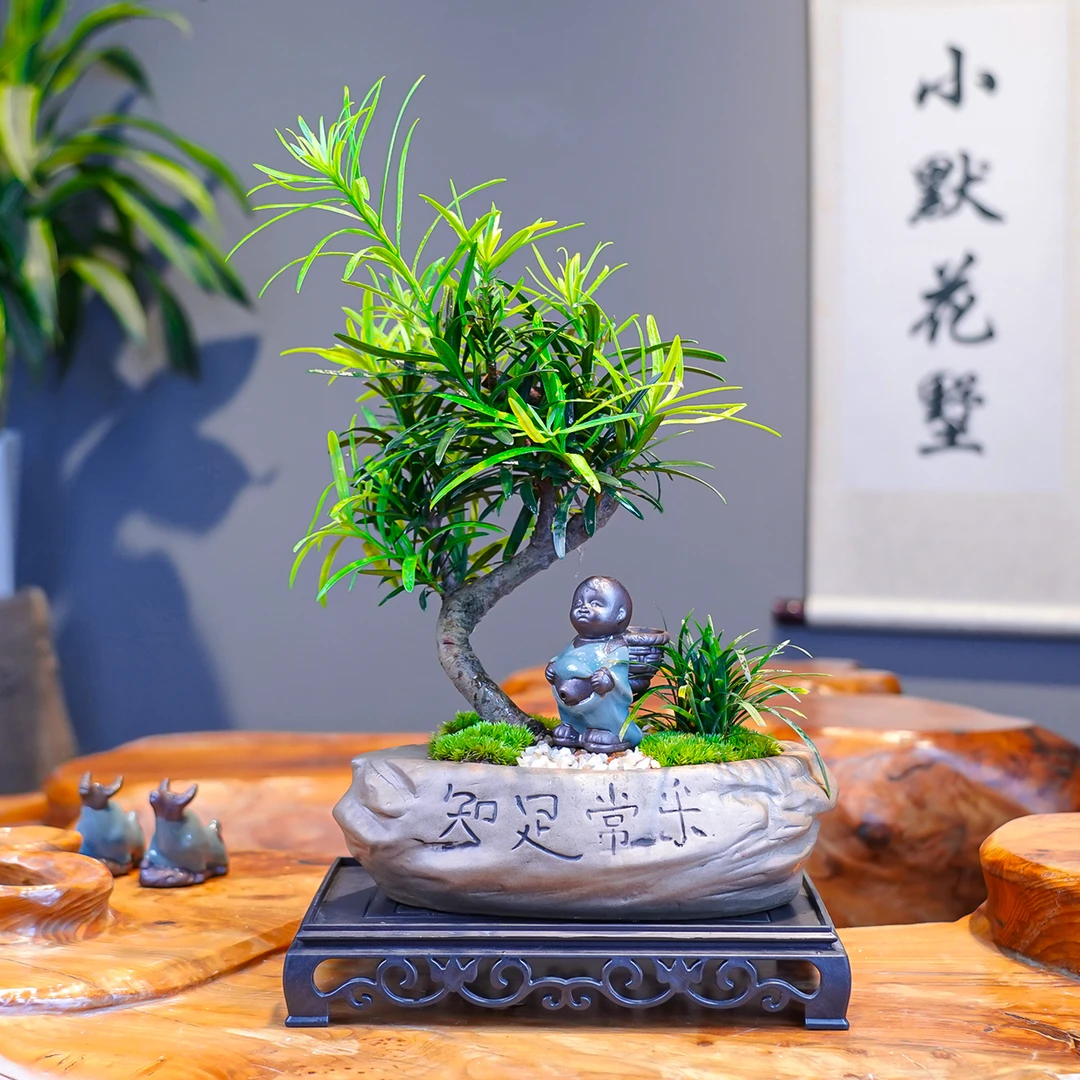 小默花墅【罗汉松盆景】造型罗汉松客厅桌面室内盆景四季常青植物