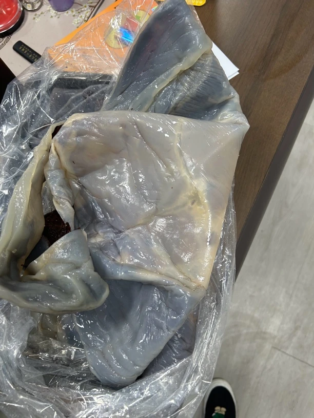 启东本地海蜇皮 干皮3.8斤