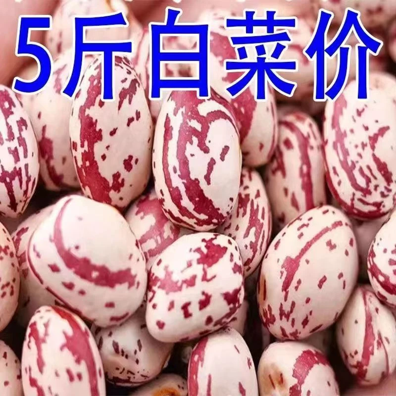 【活动中】熊猫豆新货云南农家产新鲜饭豆搭架猫眼豆花豆类批发特价