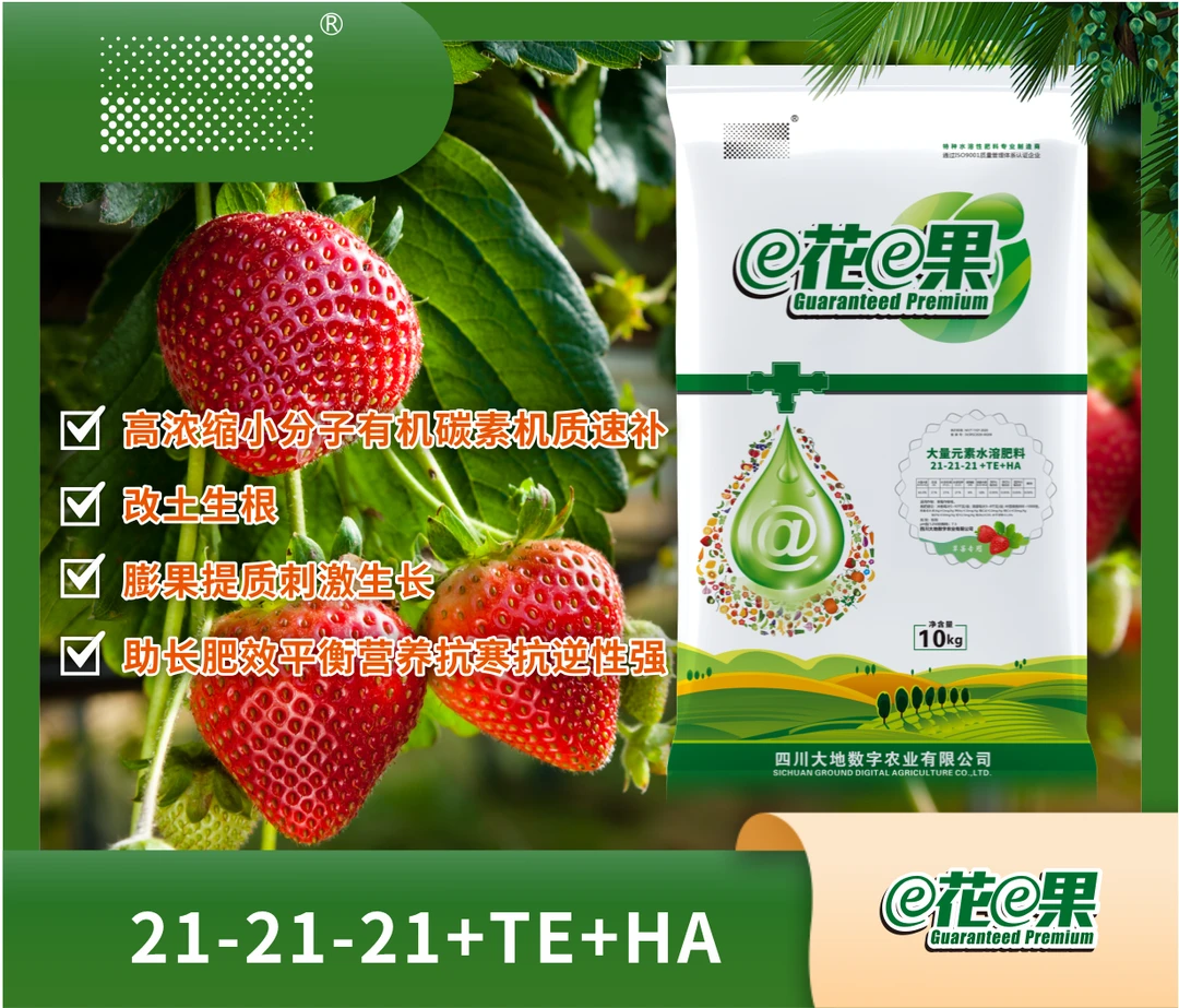 e花e果草莓专用水溶肥料(21-21-21+TE+HA)改土生根 膨果提质