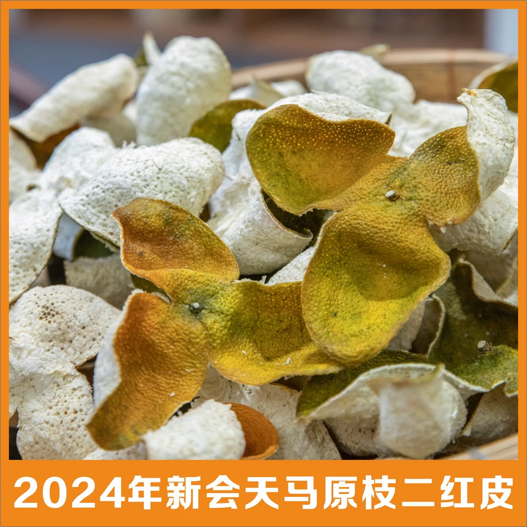 2024年新会天马原枝圈枝二红皮（纯干仓生晒）