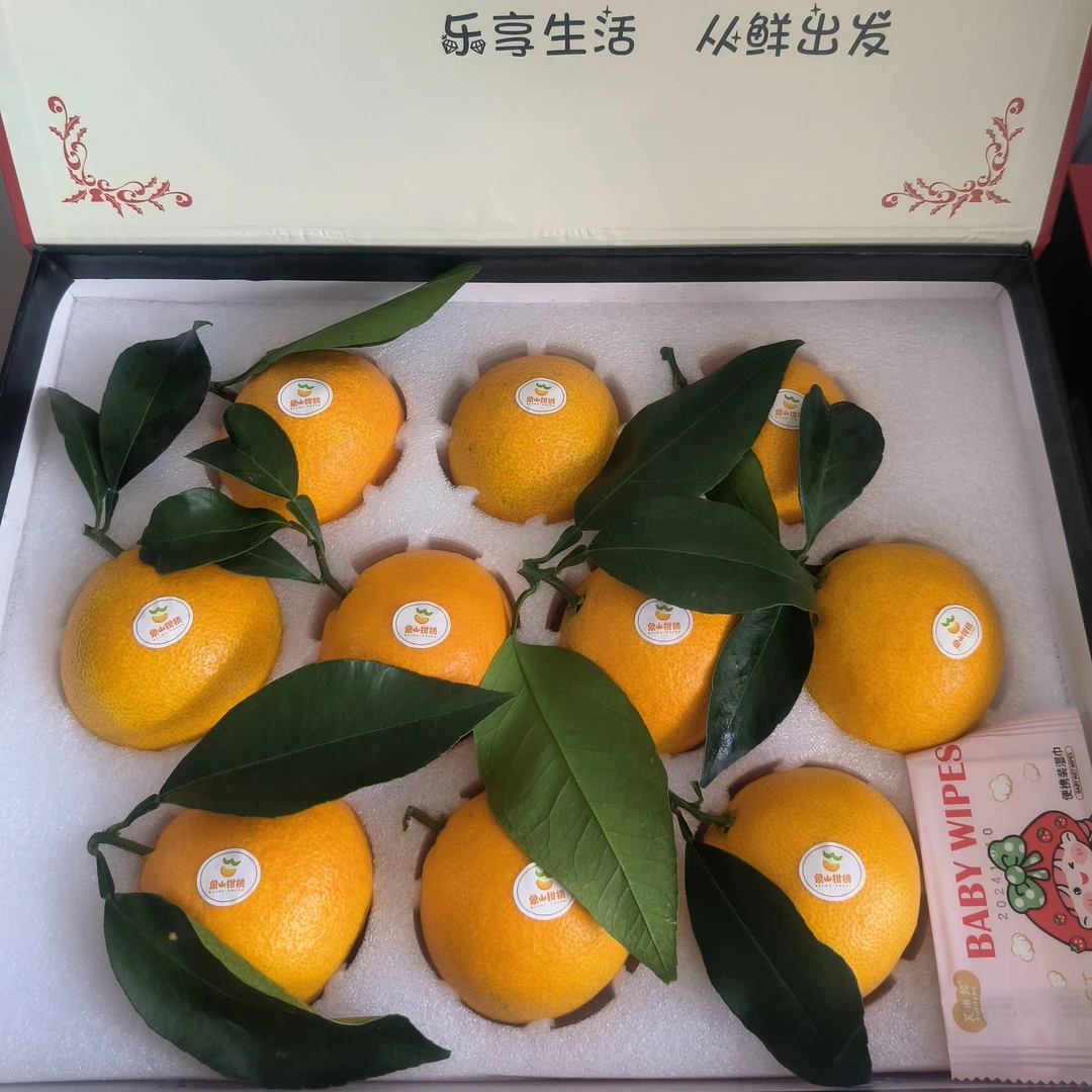 正宗爱媛28号象山红美人