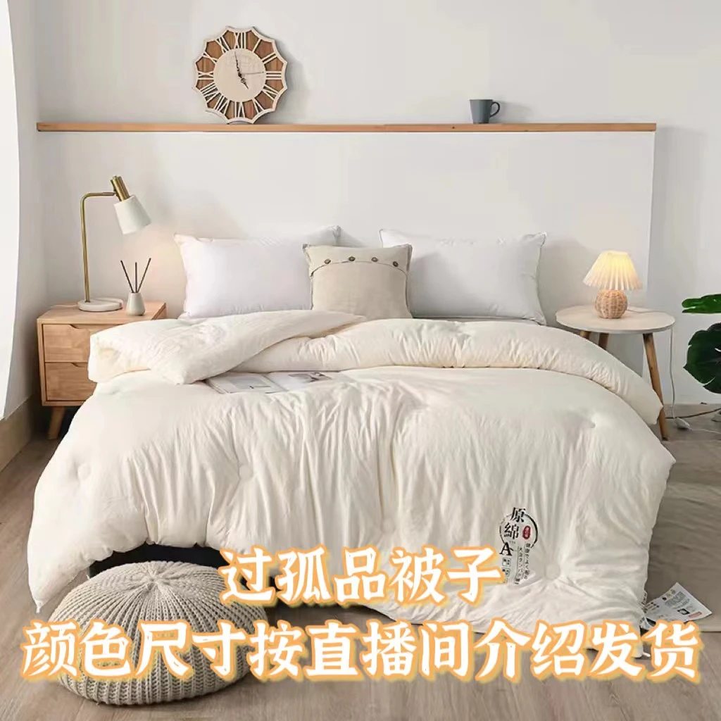 2.2米尺寸[过款按主播介绍下单]被子春秋被冬被加厚双人被芯