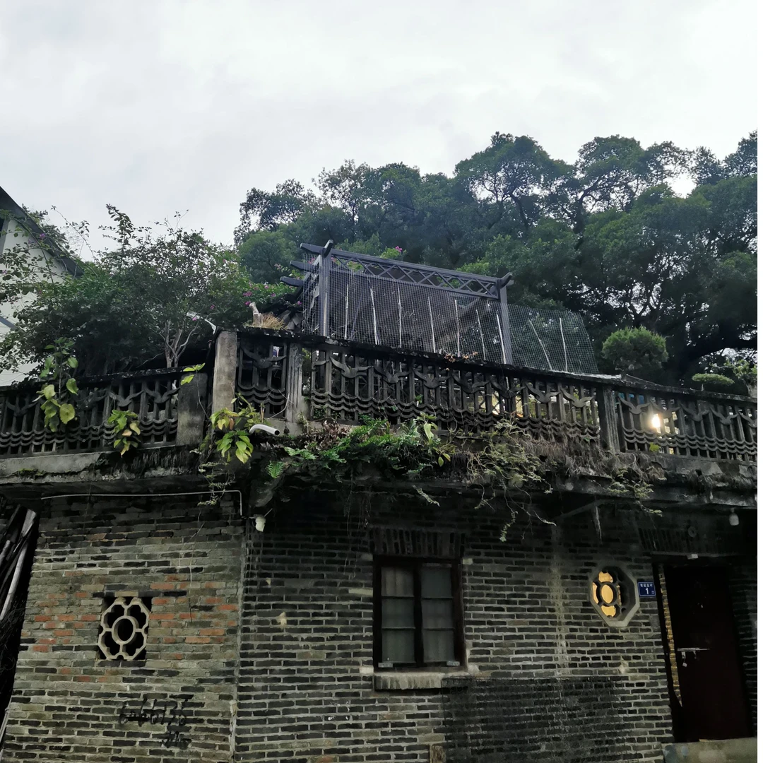 独耀 福鼎白茶替代链接001