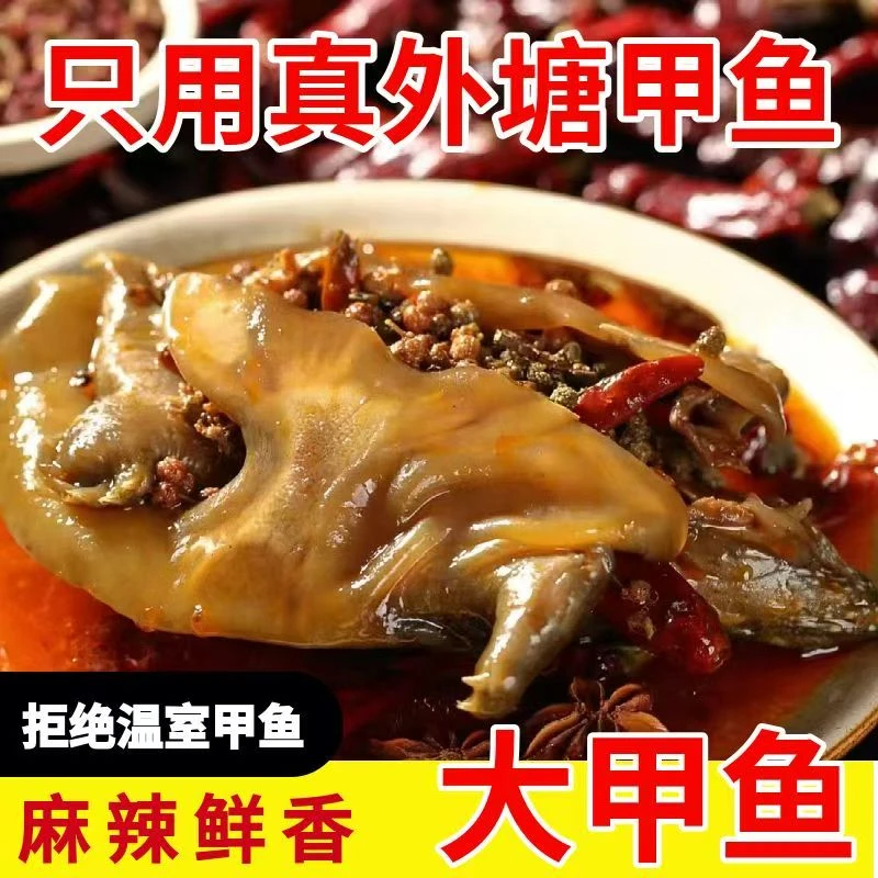 【新人专享】拍3送三 卤甲鱼单只半斤左右 现卤现发 破损包赔