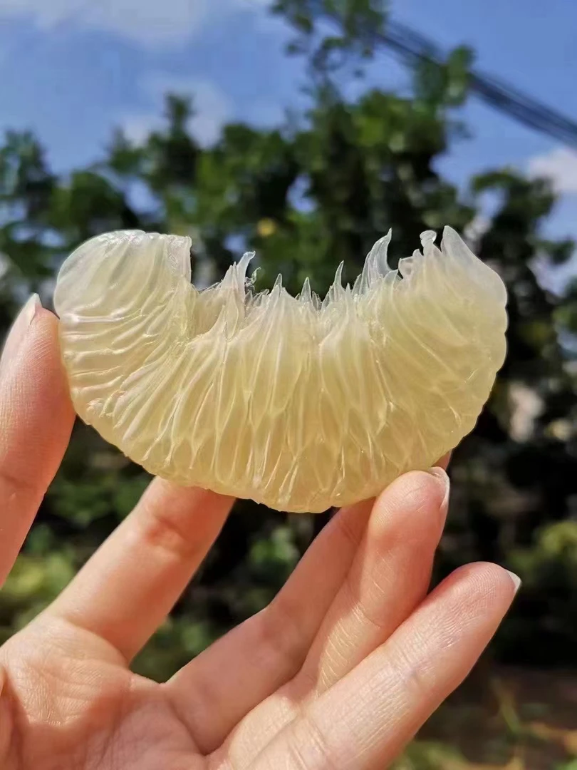 湖南怀化安江冰糖柚皮薄汁多果肉脆嫩