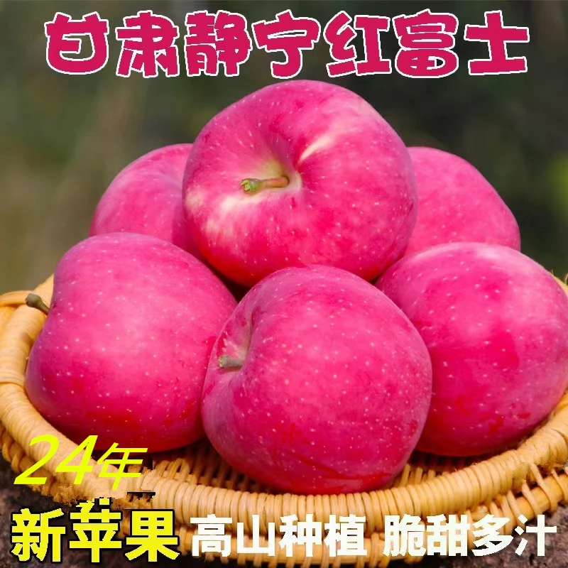 【拉萨小时达】甘肃静宁红富士现摘苹果当季新鲜水果脆甜冰糖心