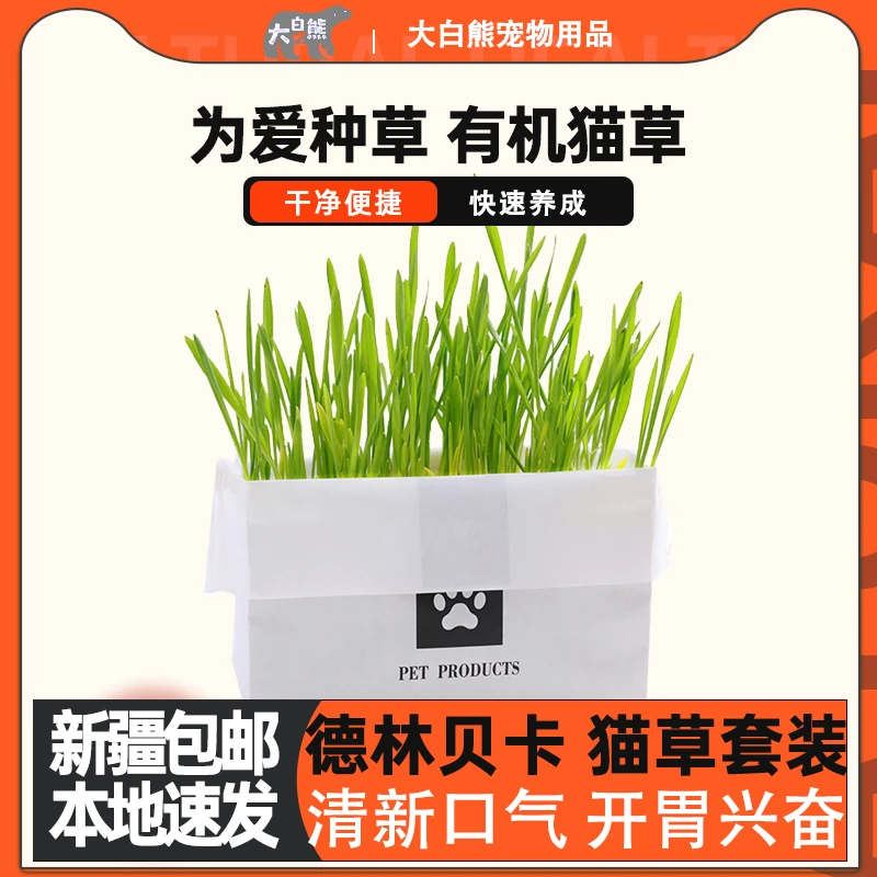 新疆包邮德林贝卡猫薄荷粉猫草套装清新口气开胃兴奋猫咪零食改善