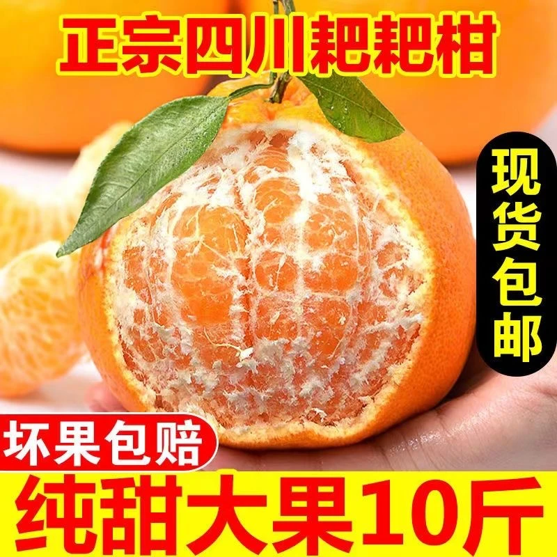 【皮薄多汁】正宗四川春见耙耙柑新鲜水果5/10斤包邮当季新鲜水果