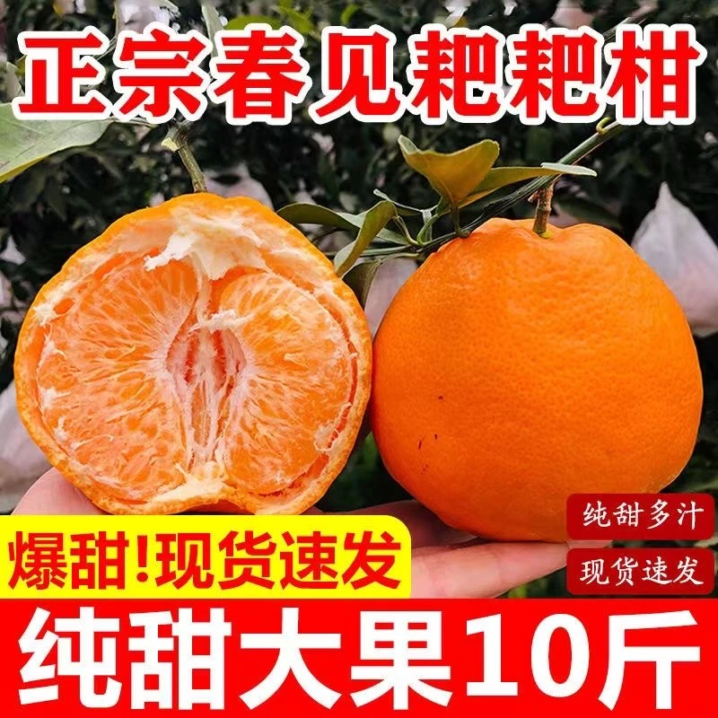 正宗四川春见耙耙柑新鲜水果爆甜多汁5/10斤整箱包邮当季新鲜水果