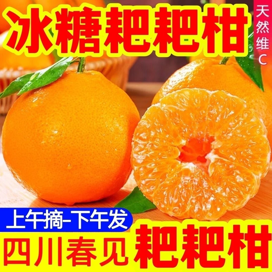 【年货优选】正宗四川春见耙耙柑应季新鲜水果耙耙柑甜桔子丑橘子