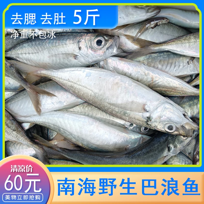 海南深海野生大巴浪鱼无污染鱼场冷冻鱼新鲜急冻鲜味5斤