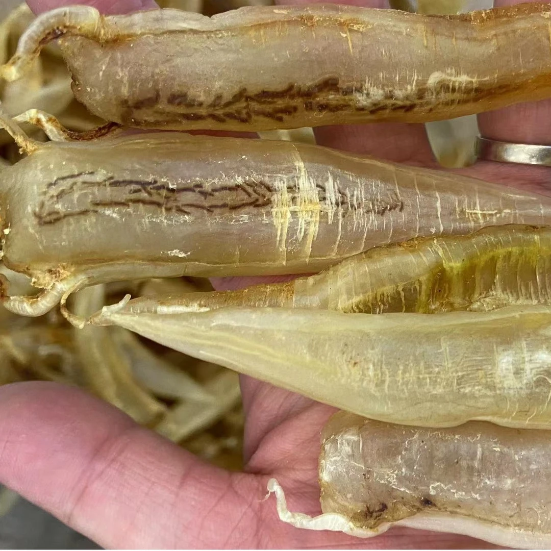 【唐总精选】鳘鱼筒  鱼胶 营养滋补