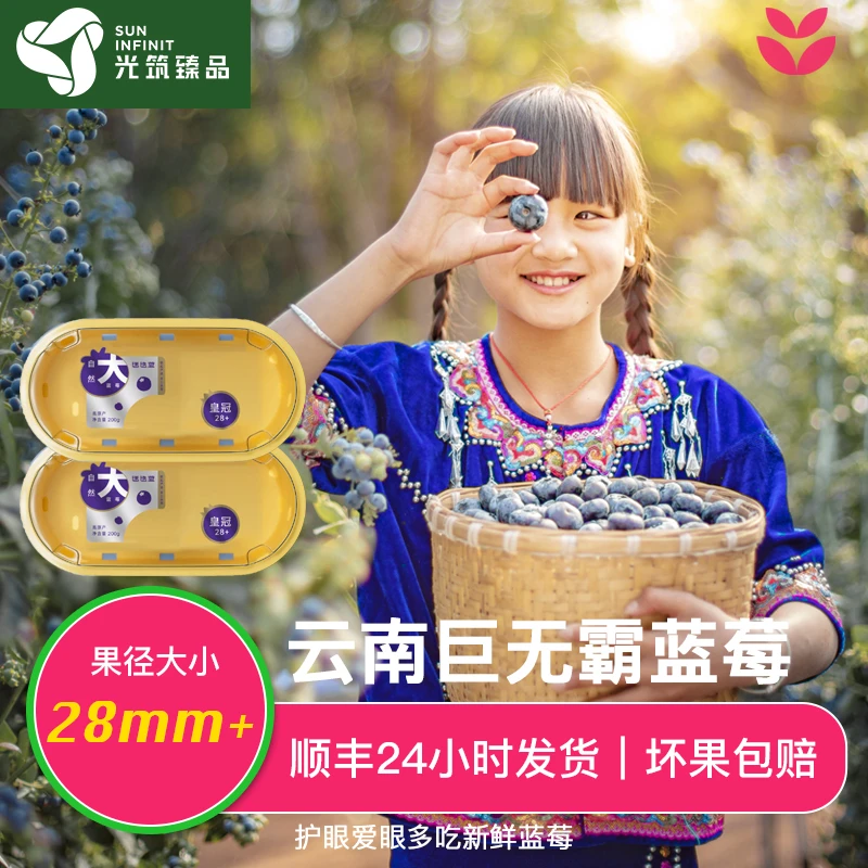 【迷迭蓝】云南超大蓝莓当季限定28mm+甄选基地种植蓝莓鲜果包赔