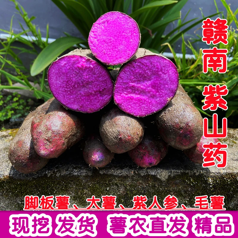 赣南紫山药新鲜5斤脚板薯紫大薯江西赣州紫参薯毛薯1斤农产品10