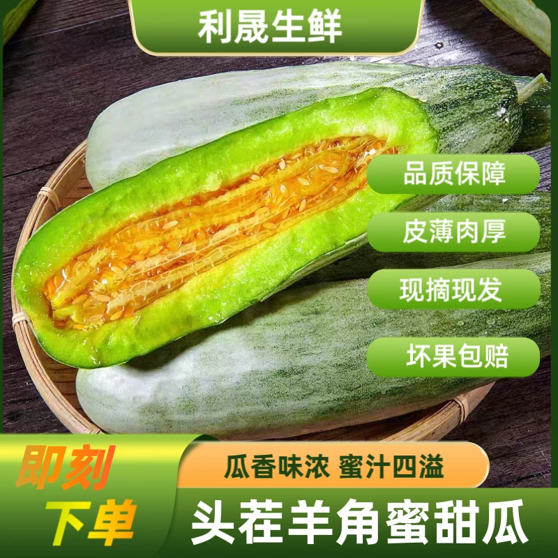 【秀姐专属】山东头茬羊角蜜甜瓜（4.5斤-5斤）（4-6个）