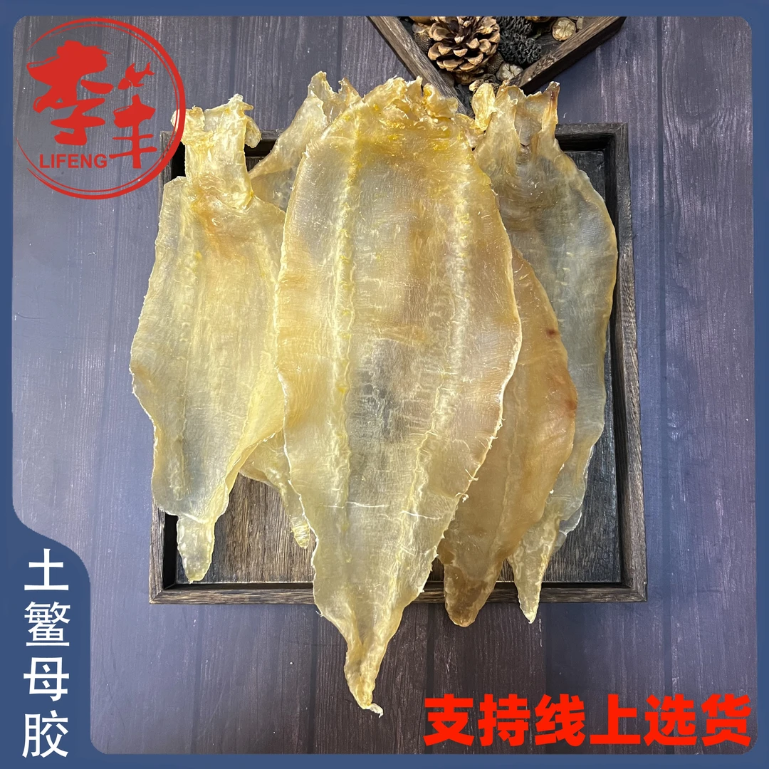 土鳘母胶孕妇滋补营养品备海产干货孕产后术后鱼肚鱼泡鱼鳔胶鱼胶