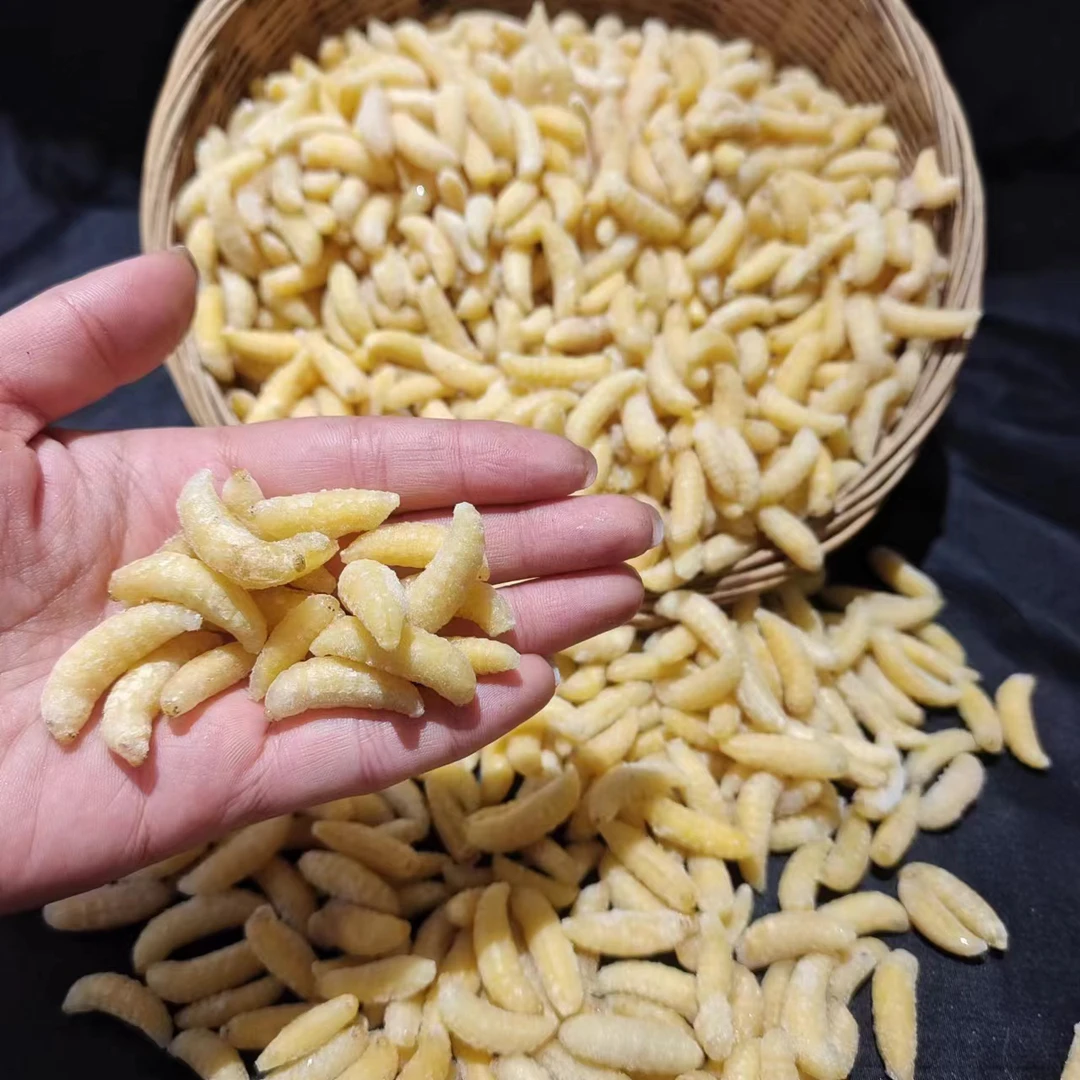 树蜂生鲜熟冻一级500g500G蜂蛹树蜂蛹马蜂蜂蛹马蜂蛹