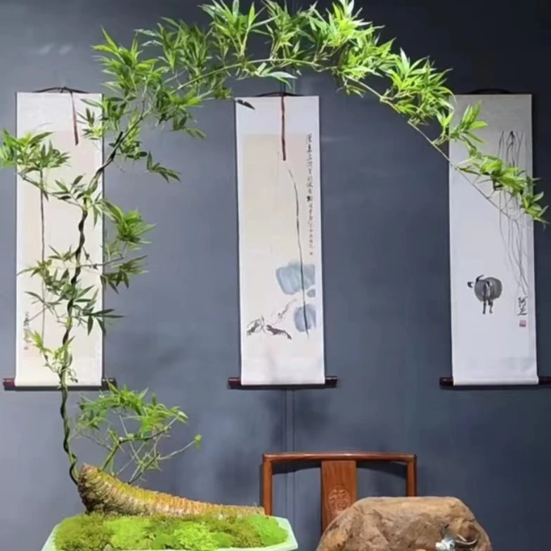 直播间一物一拍小叶簕竹盆景生桩不包活