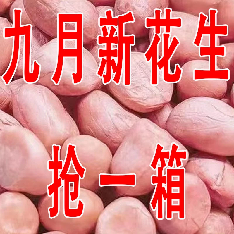 【新店开业】现剥新货特价精选无壳白沙花生米粉红皮新鲜生花生米