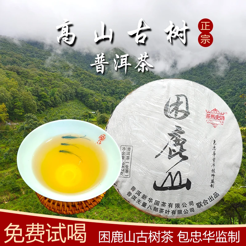 357克困鹿山古树茶普洱生茶饼样品免费试喝