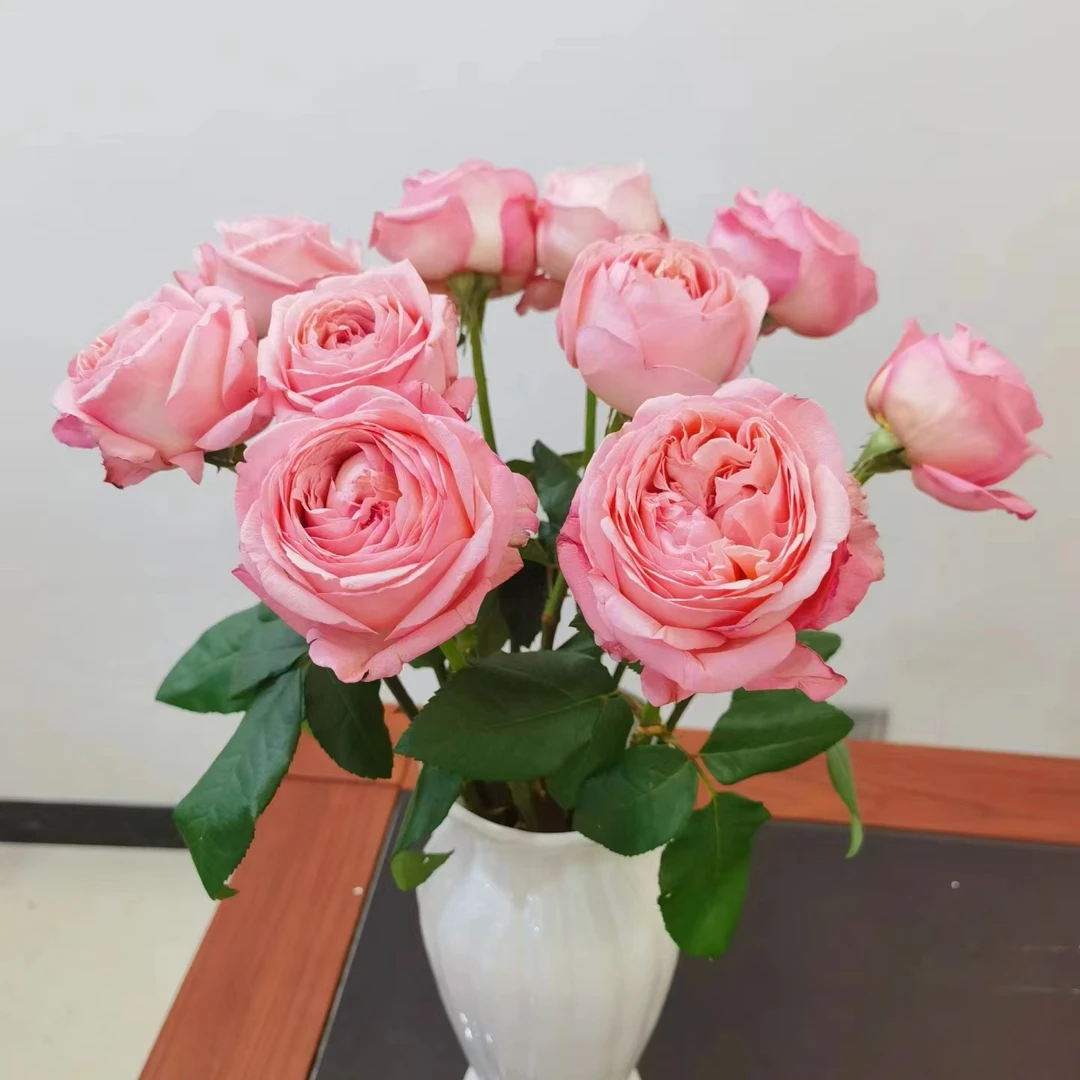 植迷不误枫丹玫瑰花花艺云南鲜花室内摆放客厅上档次美观大气醒花