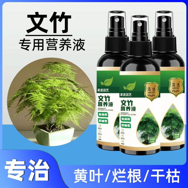 文竹营养液专用肥料盆栽绿植物绿叶壮根叶子发黄枯瘦干尖烂根落叶