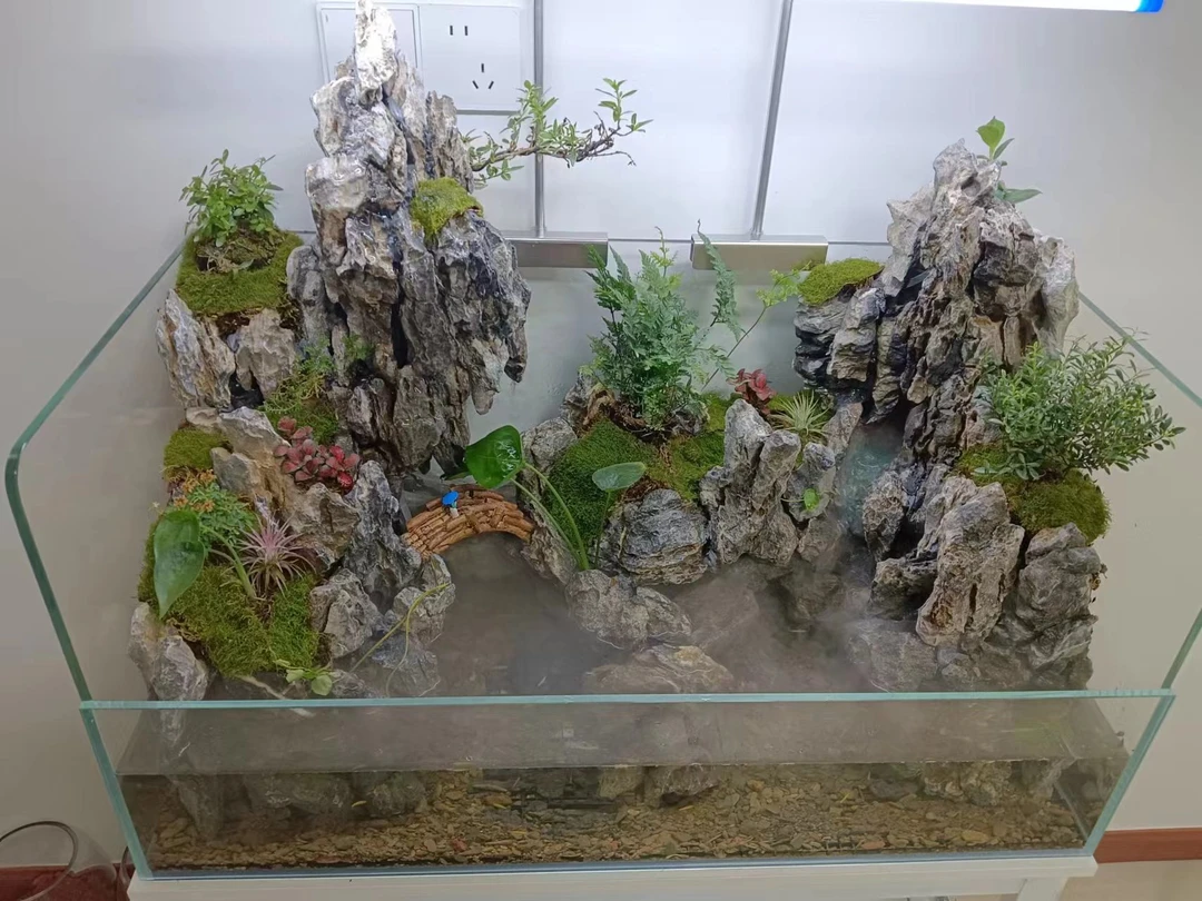 展厅搬迁展品处理水陆缸青龙石景观尺寸80x40x40x20