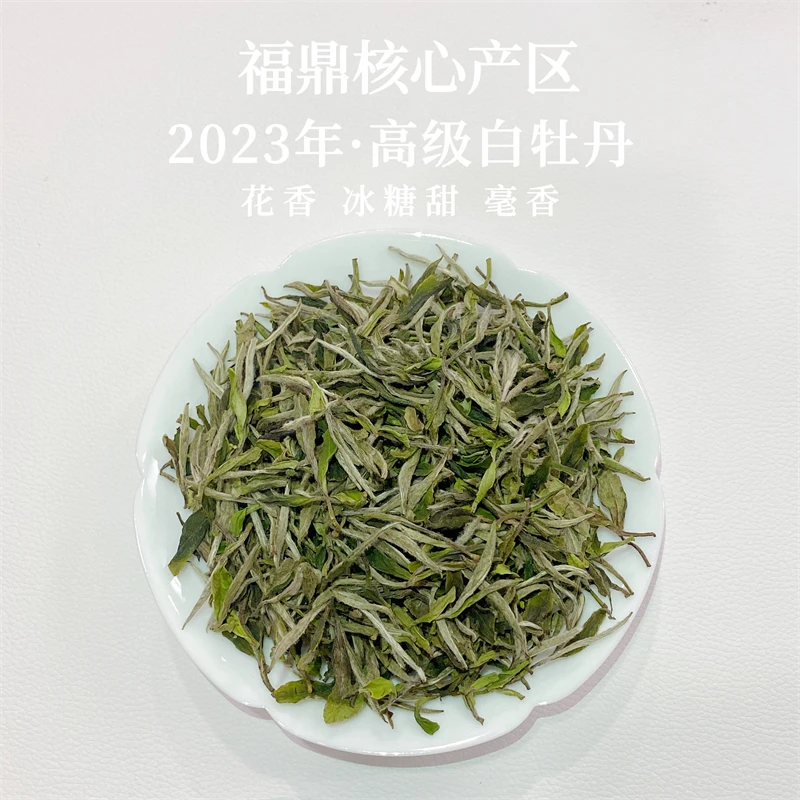 {春白}2023年磻溪大洋山牡丹王500g/盒装