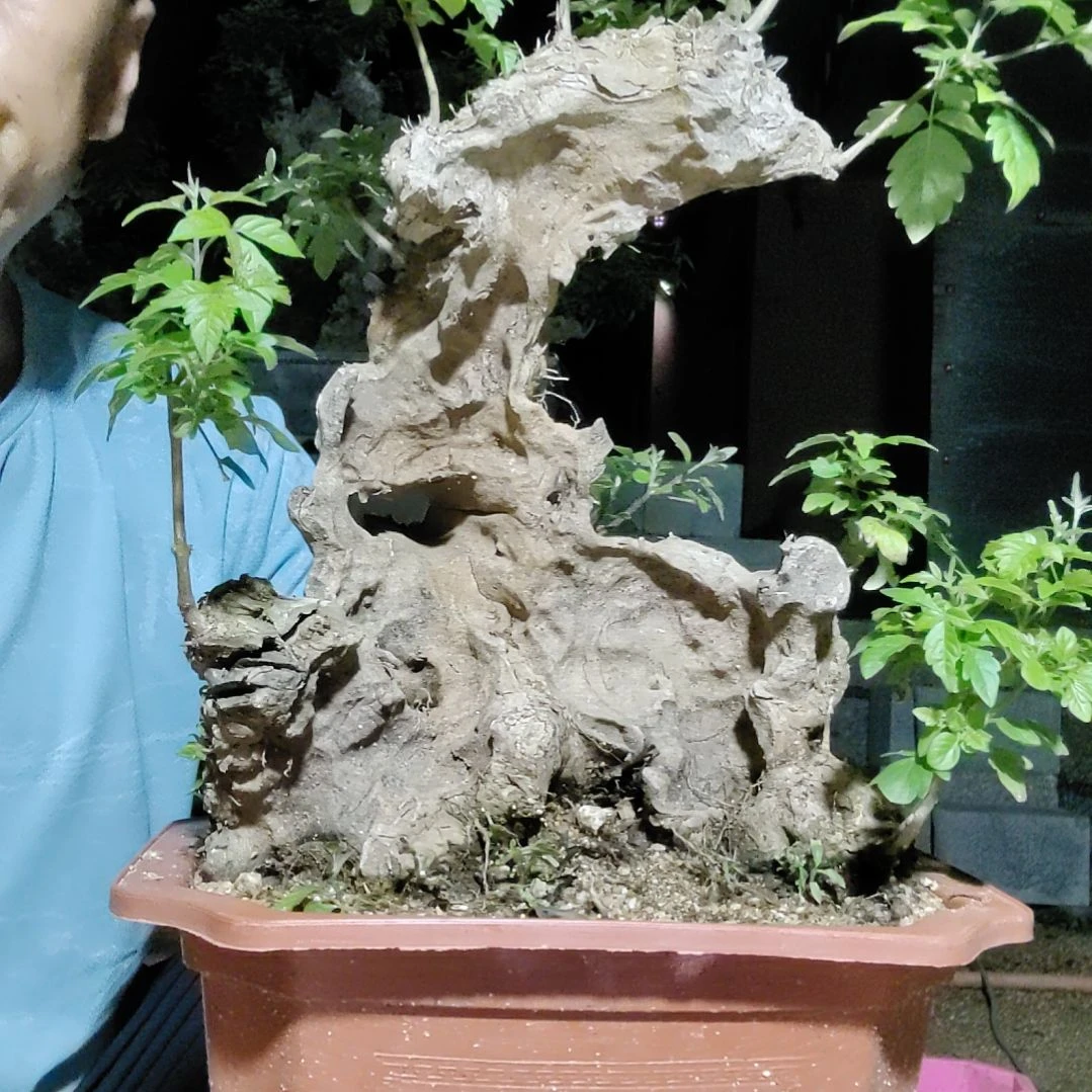 红陶20CM(含)-50CM(不含)照**线