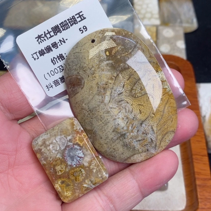 【闪购商品】硅化珊瑚（珊瑚玉）颈饰未镶嵌新*