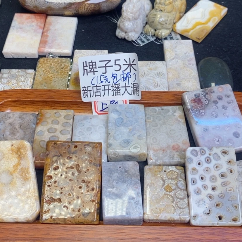 【闪购商品】硅化珊瑚（珊瑚玉）颈饰未镶嵌叮****咚