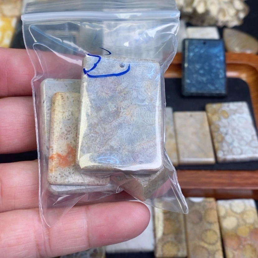 【闪购商品】硅化珊瑚（珊瑚玉）颈饰未镶嵌ᐝ**