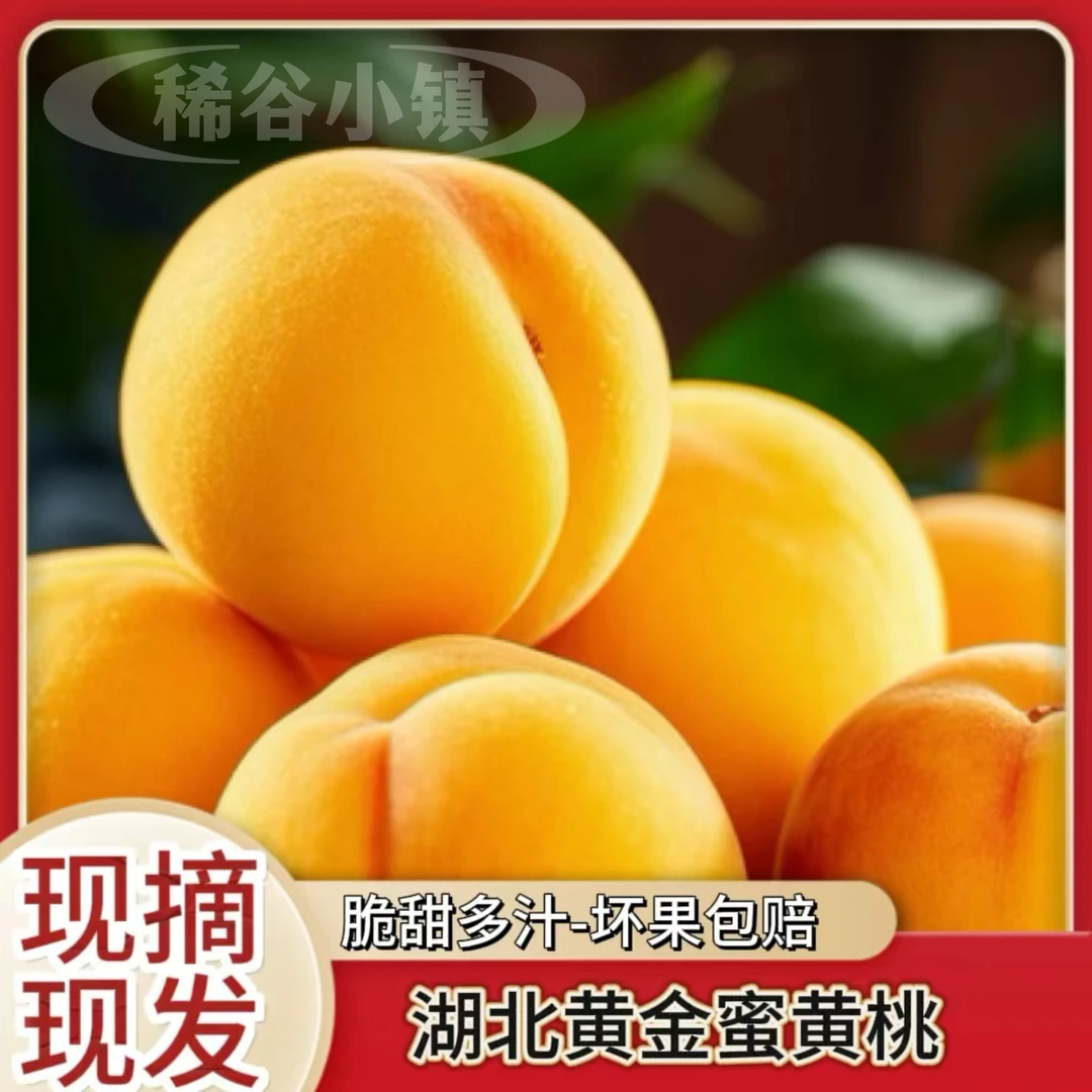 湖北露天应季黄金蜜黄桃4.5斤-5斤现摘现发坏果包赔包邮