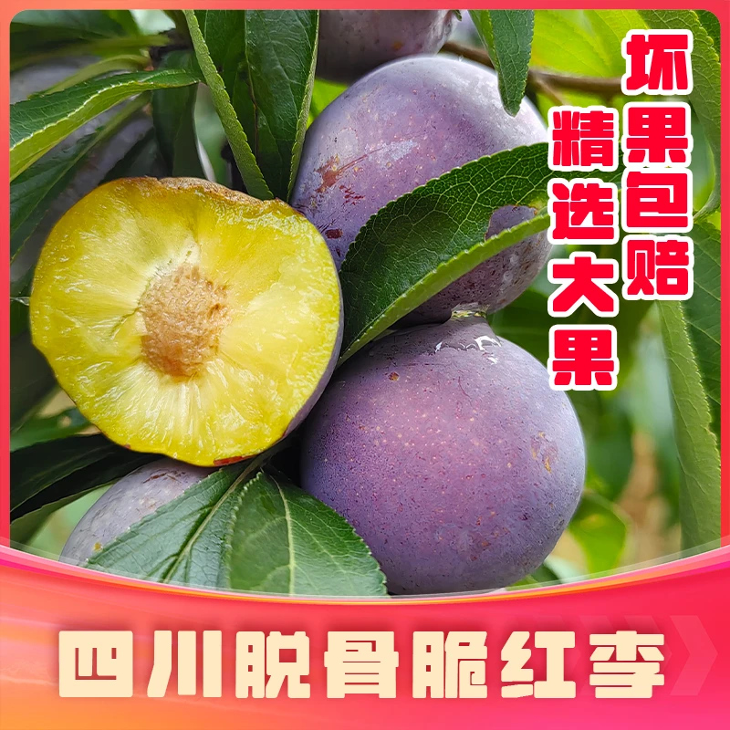 四川鲜甜脆红脱骨李子脆甜多汁脆红半边茵红李当季现采现发大果