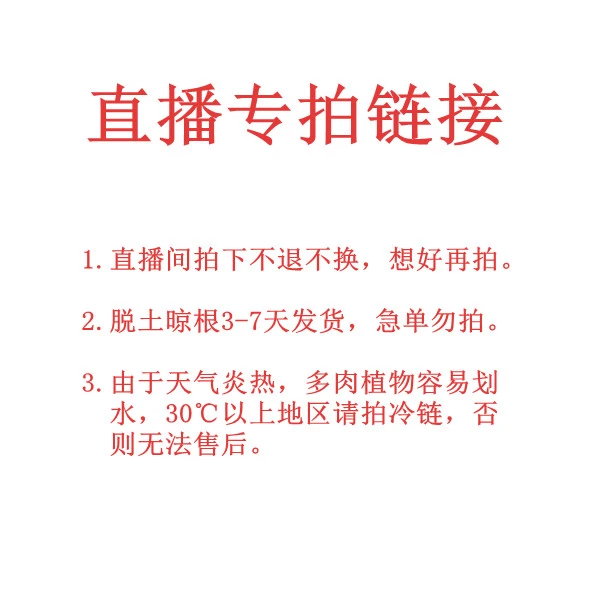 木冉多肉❺号， 满28元包邮。