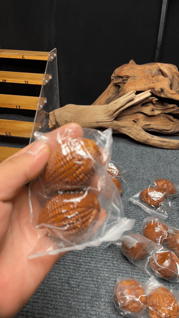 象神 玉米 瓜瓜 手球橄榄核核雕