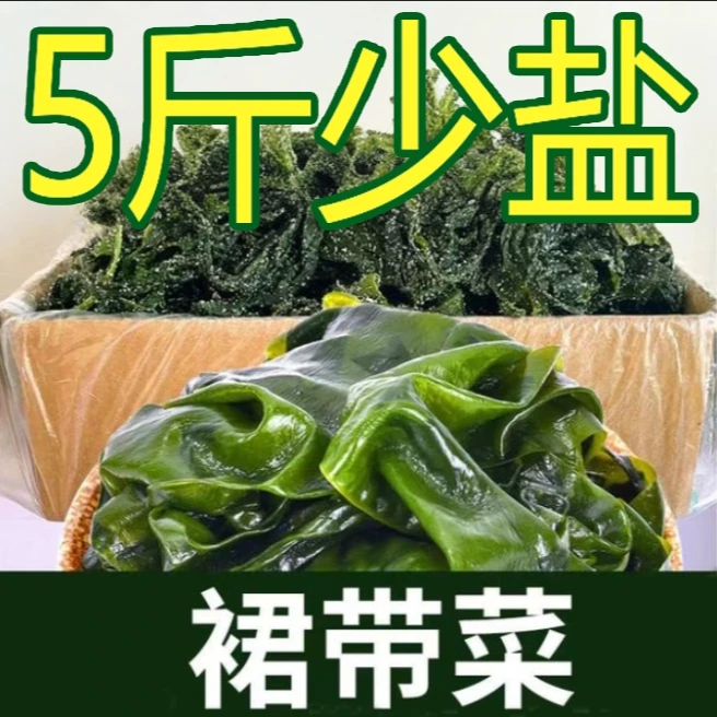菜无虫眼【五斤】盐渍裙带菜营养方便海藻非海带裙带菜新鲜海菜优选