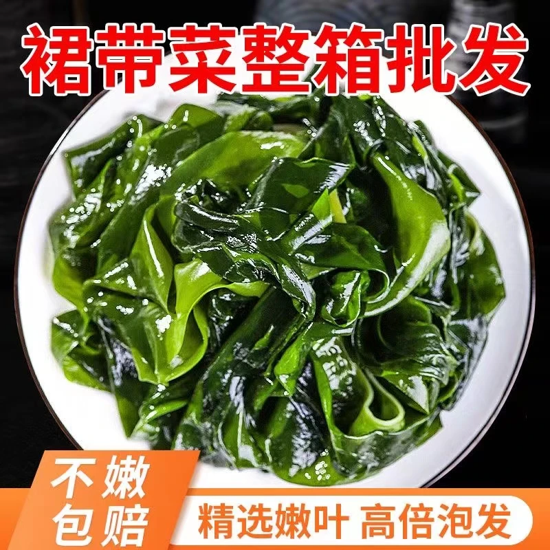 无虫眼新鲜盐渍裙带菜海藻脱水真空独立包装海芽海菜海带儿童孕妇