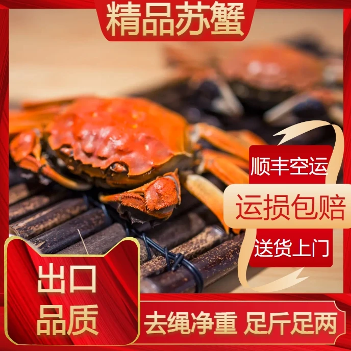 【正宗精品苏蟹】公蟹(3两)+母蟹(2两)8+2共10只大闸蟹活蟹H