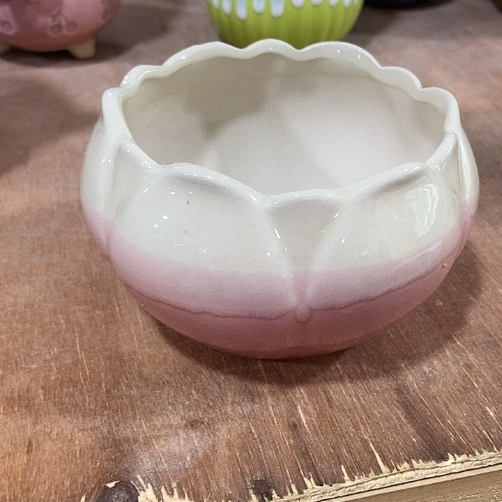 红陶20CM以下听好口径再下单哈