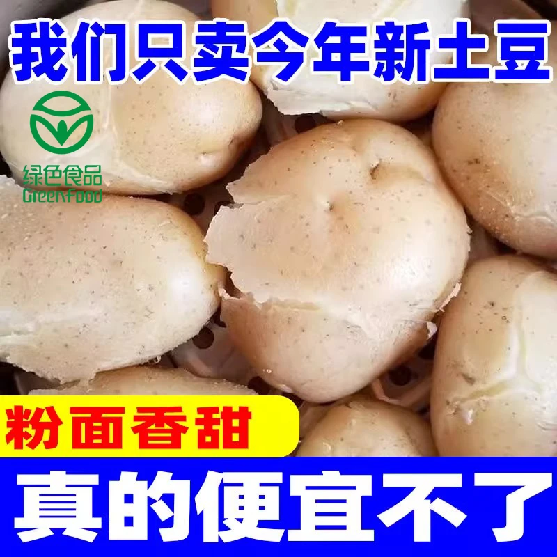 【直播专享】精选新鲜现挖甘肃沙地土豆绿色认证