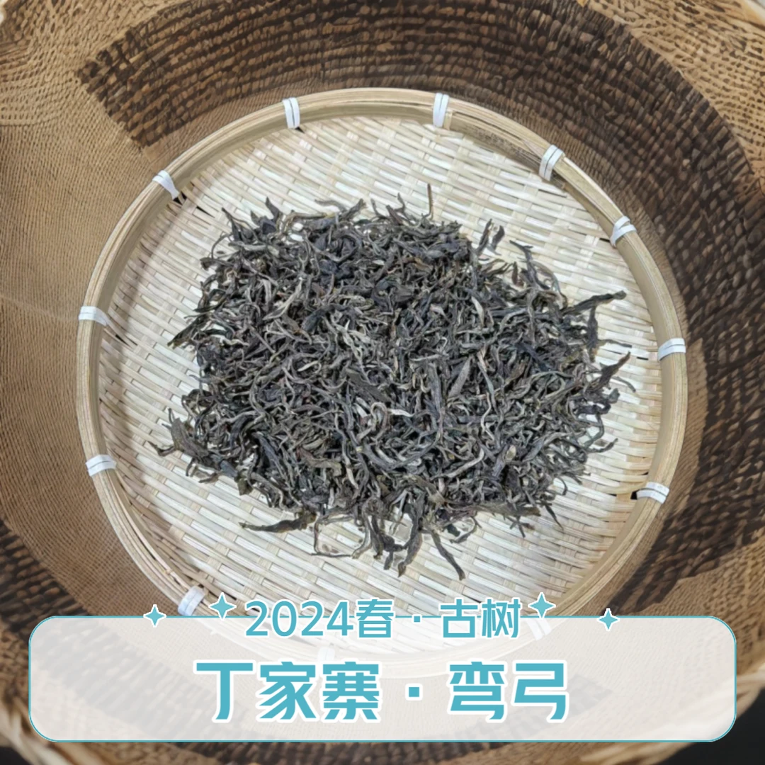 【啊豪普洱】丁家寨弯弓 (品鉴装)古树头春 2023年头春 散茶普洱茶