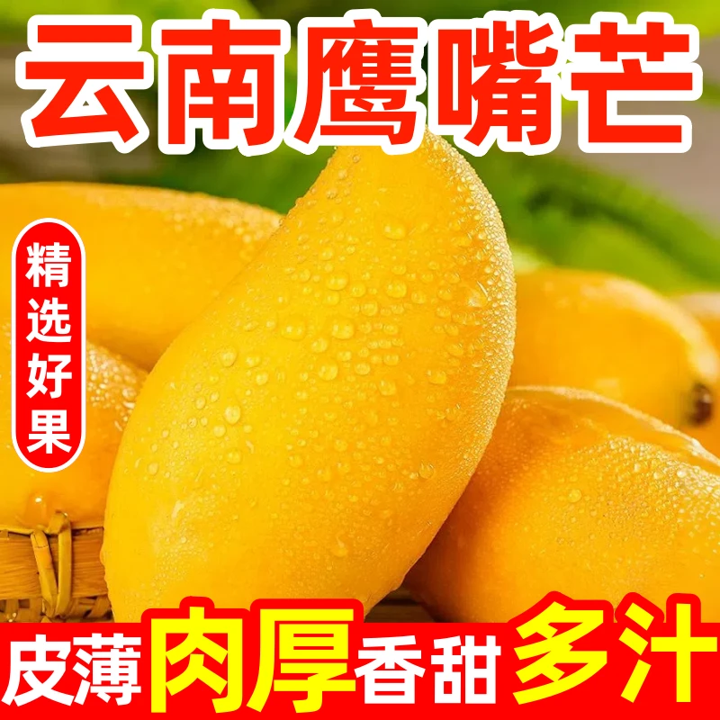 【放软后食用】云南鹰嘴芒果当季新鲜现摘香甜多汁饱满肉厚产地直发
