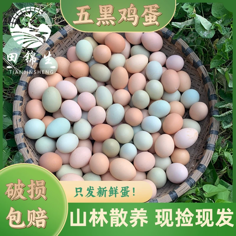 【田锦生】五黑鸡鸡蛋 山林散养鸡蛋绿壳粉壳鸡蛋30枚/50枚鲜鸡蛋