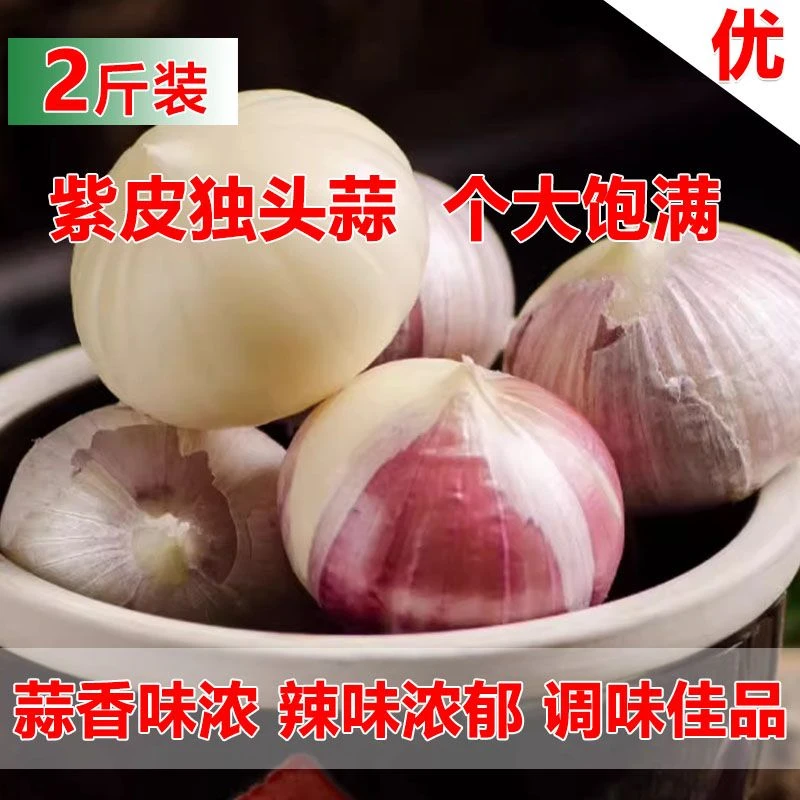 【精选紫皮独头蒜】干大蒜独头蒜香辣饱满紫皮大蒜圆头蒜大蒜头大算