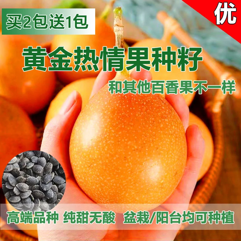 【精选黄金热情果种籽】四季播种阳台小院盆栽地栽种植简单高产水果